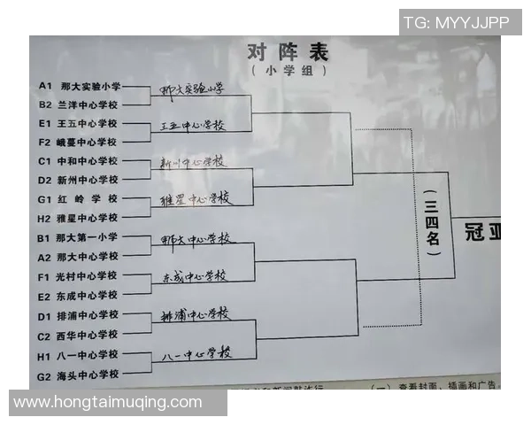 广州篮球队的转换之道：深度解析战术与球员的完美结合